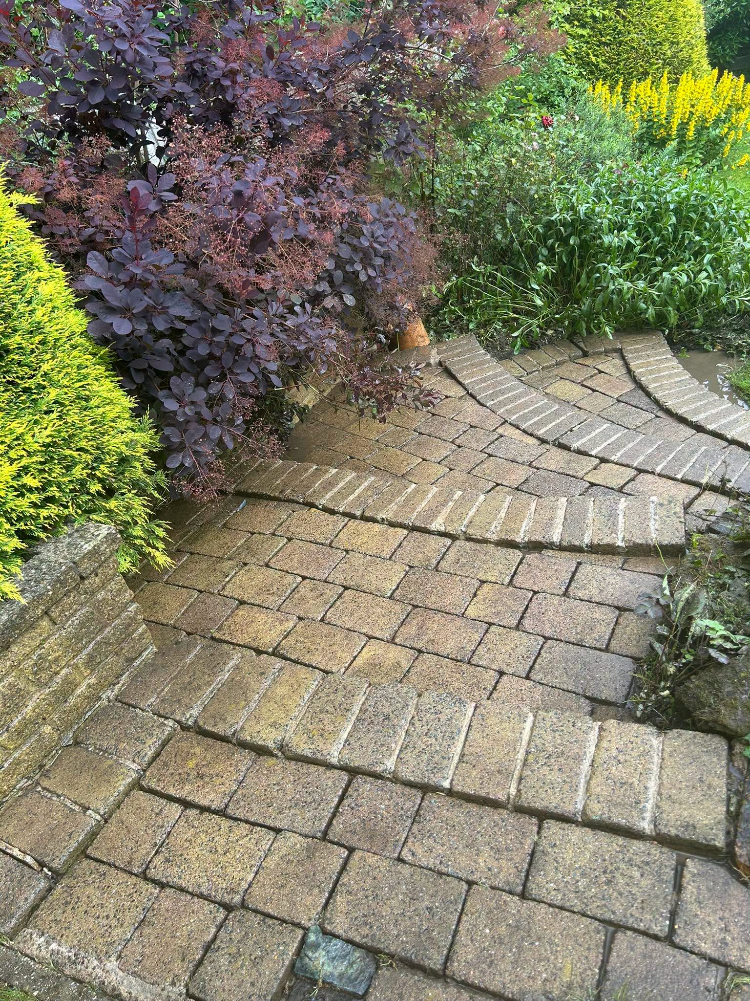 Re-sanding, Sealing & Re-grouting